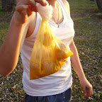 Sibai-2010-31.jpg