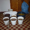 zabijačka2010 079.jpg