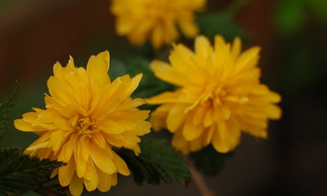 [DSC_5932%255B4%255D.jpg]