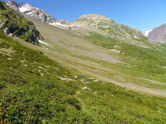 Biotope de Parnassius nordmanni. Cheget, 2800 m (Terskol, Kabardino-Balkarie), 8 août 2014. Photo : J. Marquet