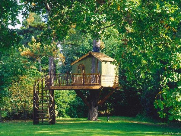 Amazing Tree Houses