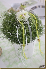 IMG_9778 IMG_9778