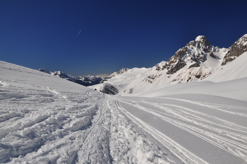 DSC_7625.JPG DSC 7625