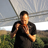 IMG_4797.JPG