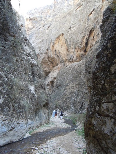 DSCN3986.jpg
