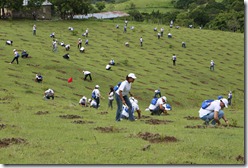 Actividad.. Actividad..