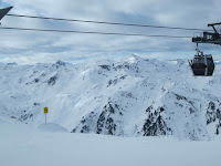 IMG_3982.jpg