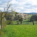 IMG_5043.JPG