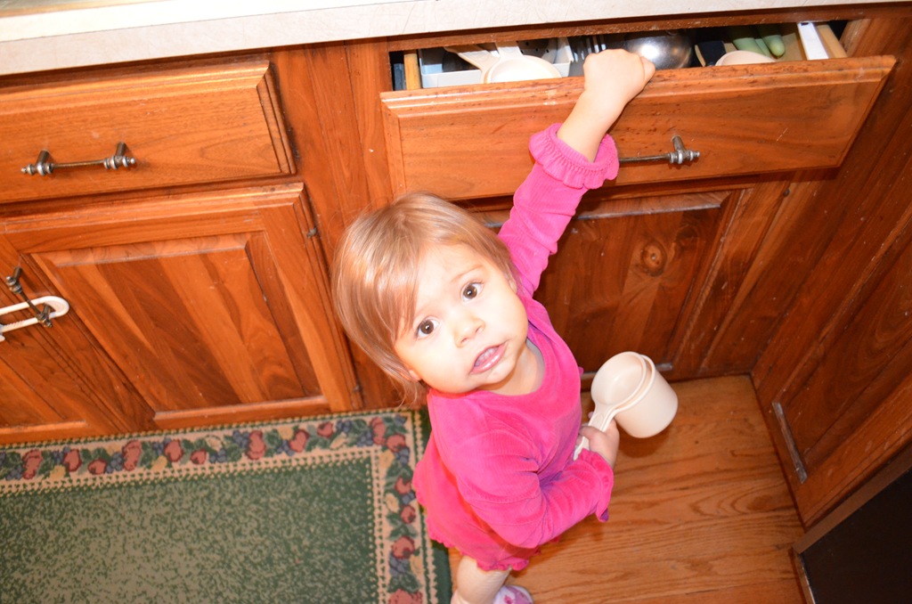 [DSC_0008%255B8%255D.jpg]