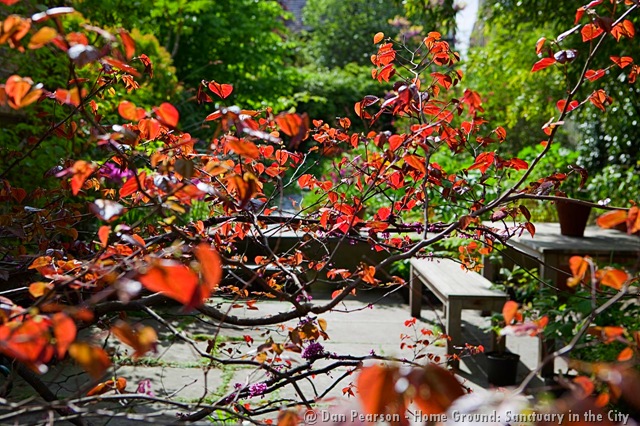 [IMG_3063_fullscreen15.jpg]