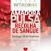 01_Cartaz_Amadora Pulsa 2013.jpg