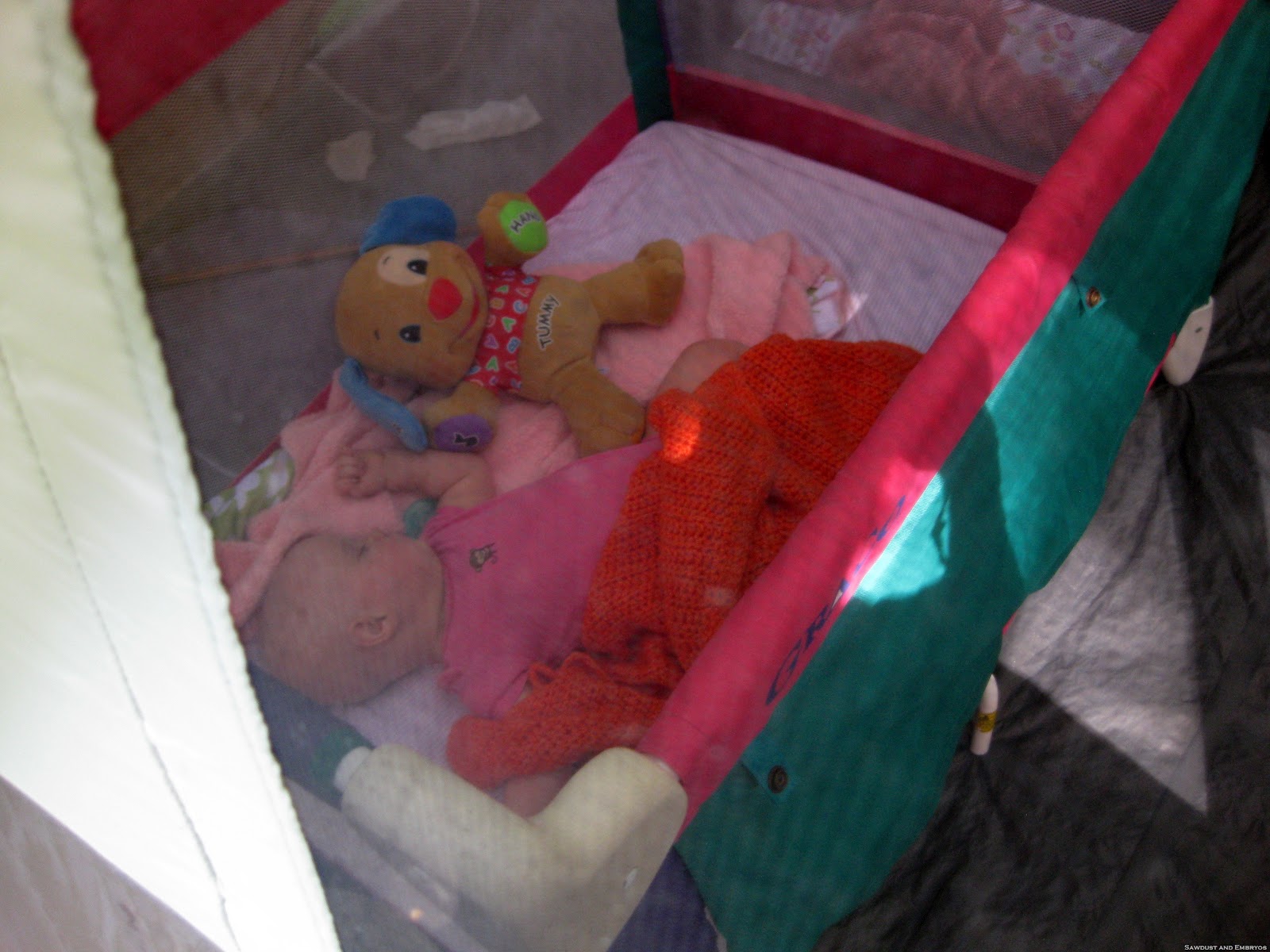 [IMG_3729%255B7%255D.jpg]