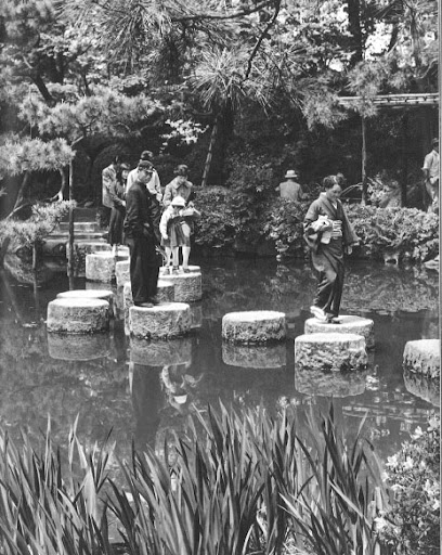 Stepping stones like lily pads in a pond; these seem a little more treacherous to navigate than your average bridge! Stepping stones like lily pads in a pond; these seem a little more treacherous to navigate than your average bridge!