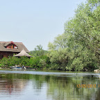 IMG_7697.JPG