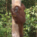 Linda und Lincoln teilen sich ein Banänchen