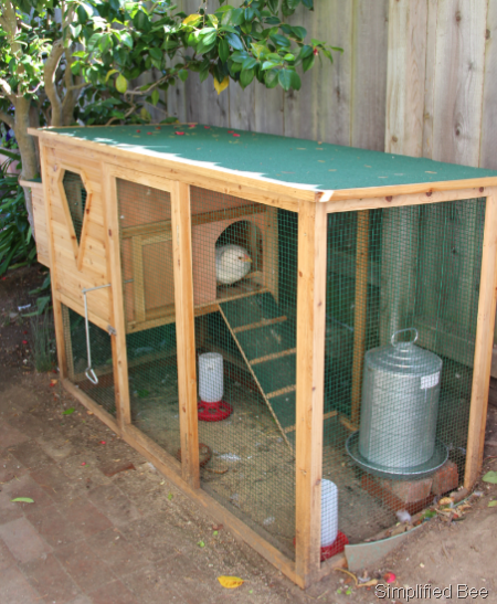[backyard%2520chicken%2520coop%2520doc%2520woody%255B5%255D.png]