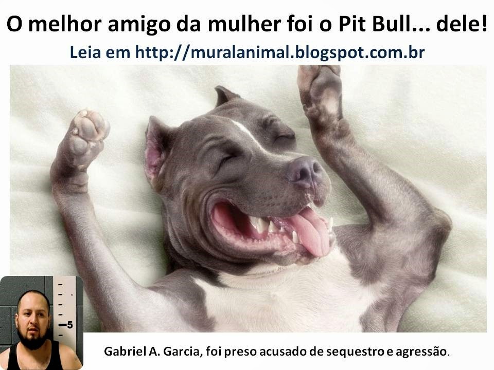 [O%2520melhor%2520amigo%2520da%2520mulher%2520foi%2520o%2520Pit%255B3%255D.jpg]