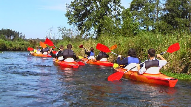 IMGA0830.JPG