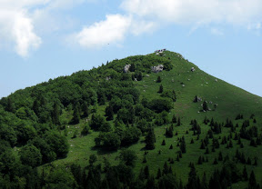 Sosed Lajnar.