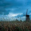200606 Olanda Provia 100006-1.jpg
