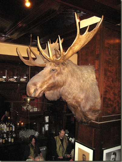 Moose at Menger Bar