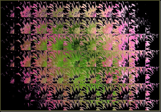 pink and green1
