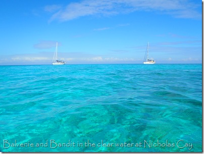 Balvenie and Bandit,  Nicholas Cay