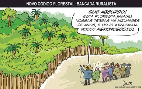 codigo-florestal-charge