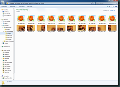 Explorer.5DMk2.MSFTCodecPack