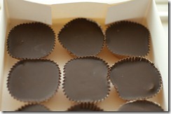 suncups008