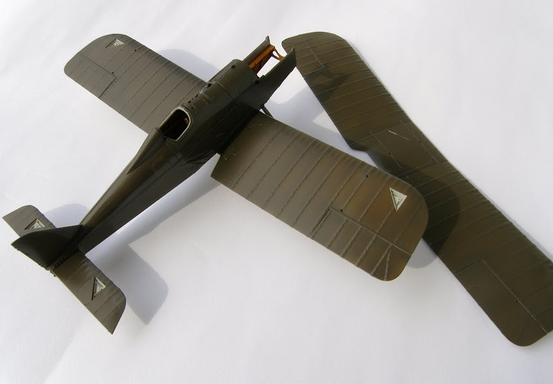 P7280464-1.JPG