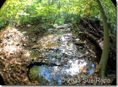 Sue Reno, Steinman Run Trail, view 2