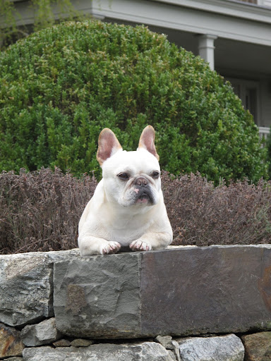 I rather like all of our fashionable coats.