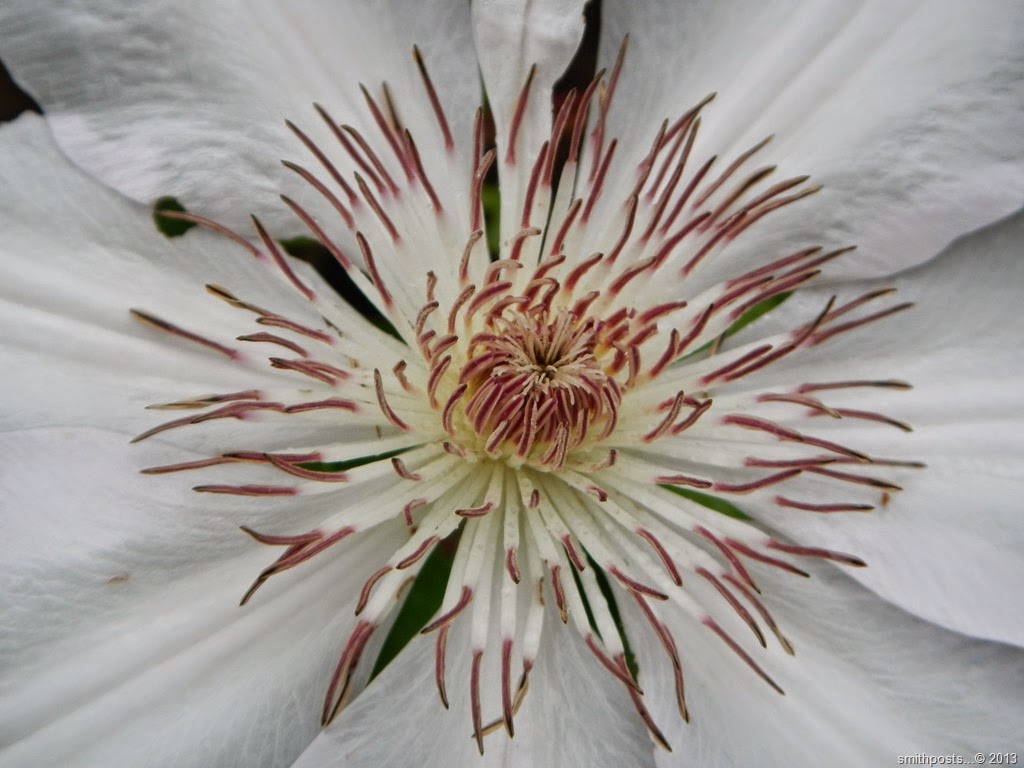 [DSCN6870%255B6%255D.jpg]