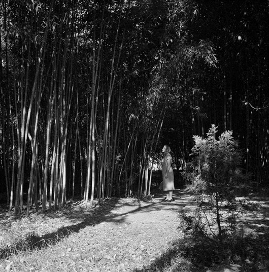 clip_image053 clip_image053
