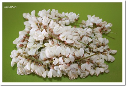 6-5-crespells flor d acacia-ing-ETI 6-5-crespells flor d acacia-ing-ETI