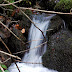 DSC_2611.JPG