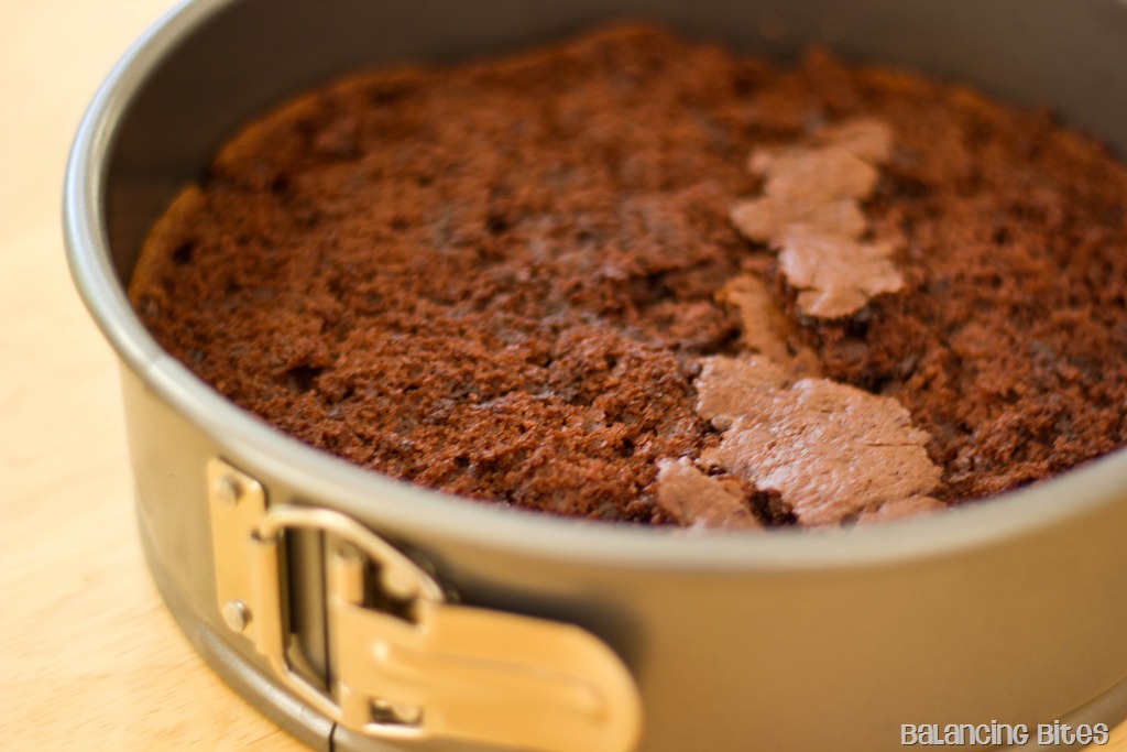 [Cake%2520in%2520Pan%2520copy%255B8%255D.jpg]