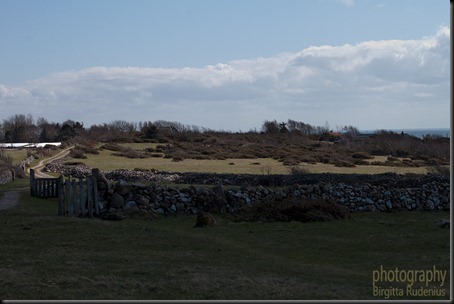 skaneleden_20120416_stenmur