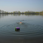 Sibai-2010-17b.jpg