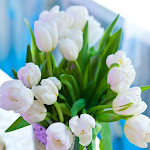Wed_20120420_0047.jpg