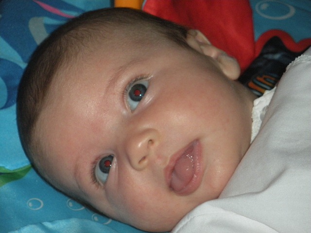 [DSCN3998%255B2%255D.jpg]