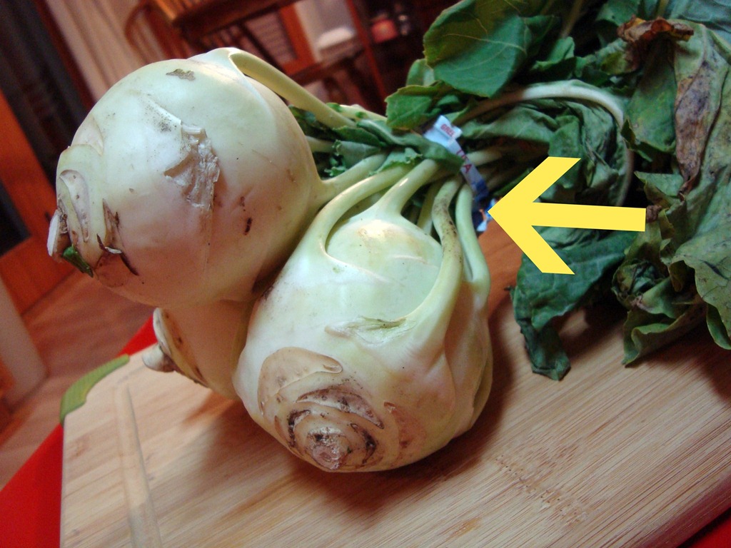 [kohlrabi-roots4.jpg]