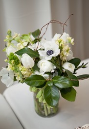 IMG_7190 IMG_7190