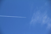 IMG_5121.JPG