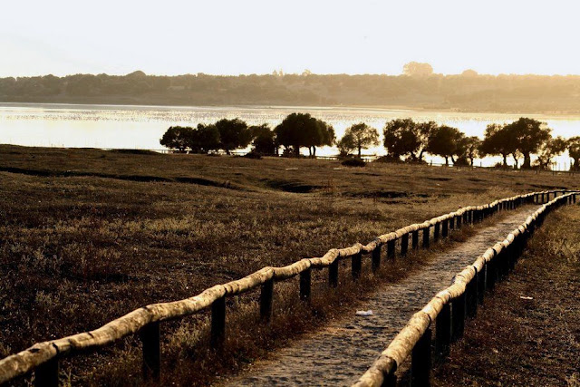 Coto Doñana: Declarado Patrimonio de la Humanidad por la UNESCO