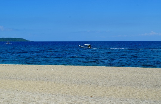 DSC_0758 DSC_0758
