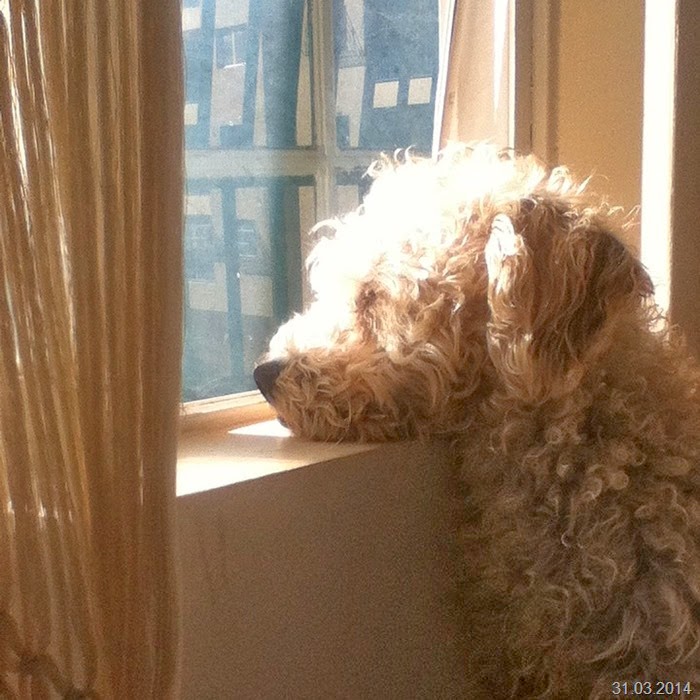 Perry-tomando-sol Perry-tomando-sol