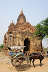 DSC01189.JPG