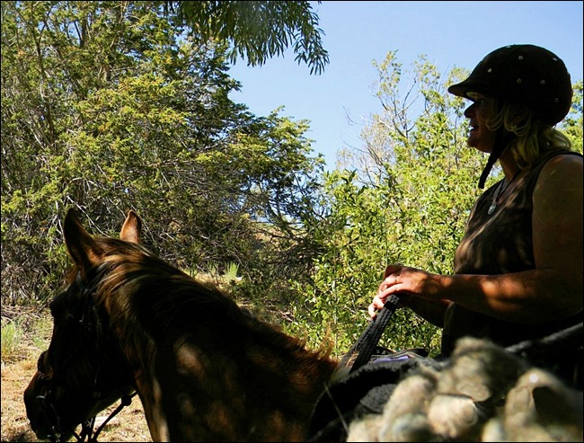 Apache26
